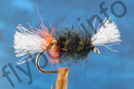Red-Arsed Shipman's Buzzer